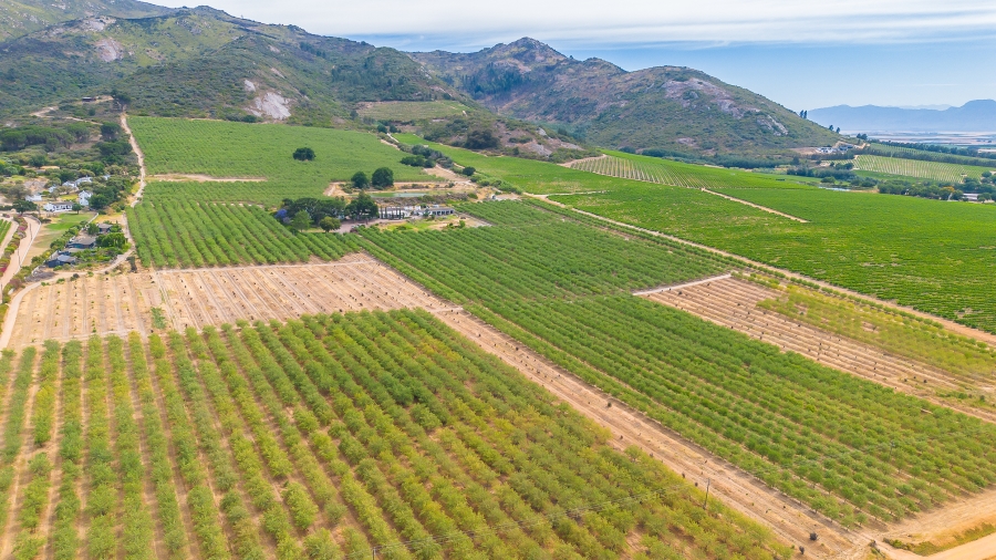 4 Bedroom Property for Sale in Paarl Rural Western Cape